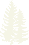 Asset 16