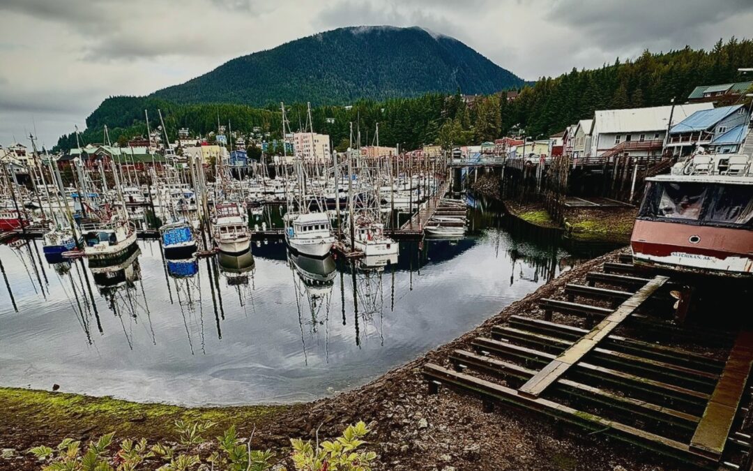 Ketchikan Photo Safari