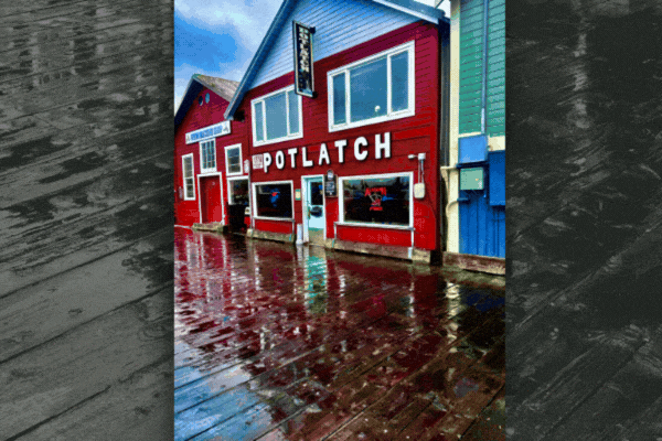 Ketchikan Photo Safari