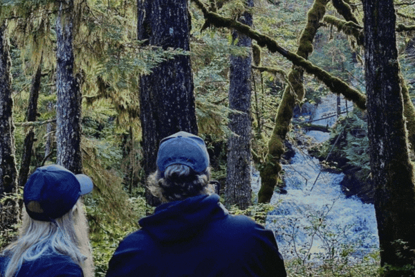 3 Hour Rainforest Walk & Totem Park